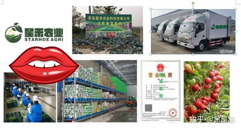 西安食材配送服務中心 專業一站式配送服務，助力餐飲與家庭食材供應