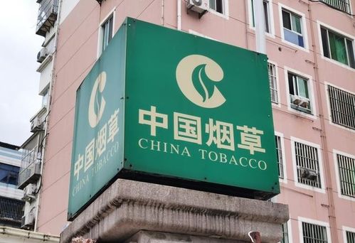 新疆煙草局校招開啟 擴招名額，高中起點，專業不限，軟件開發崗位吸引貴州學子